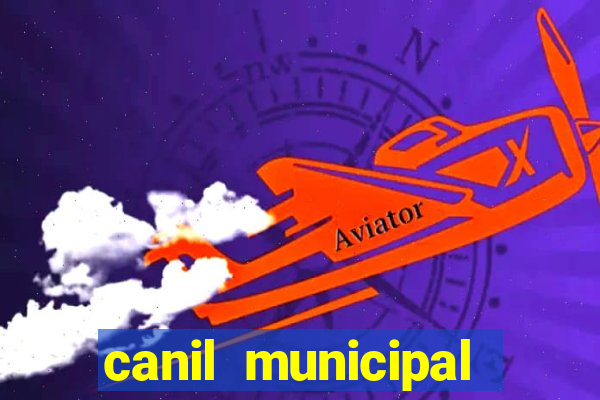 canil municipal porto alegre